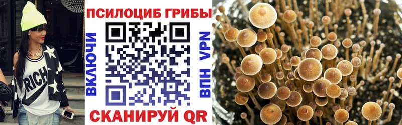 Псилоцибиновые грибы Magic Shrooms Лабинск